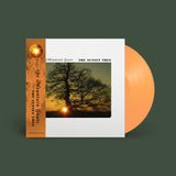 The Mountain Goats – The Sunset Tree (20th Anniversary Apricot Vinyl)