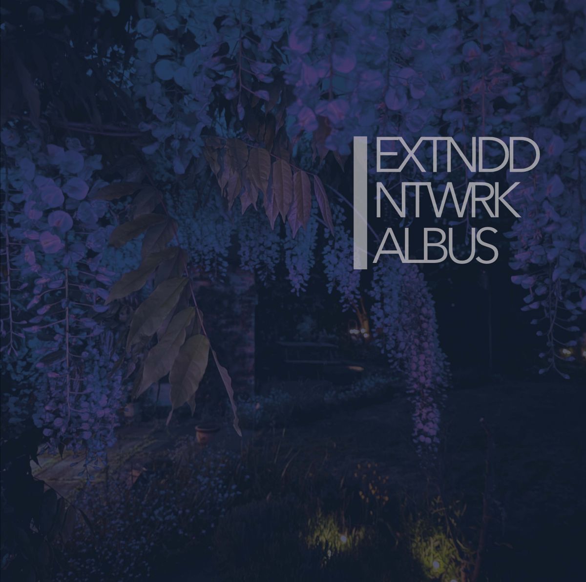 EXTNDDNTWRK - Albus (Black Vinyl)