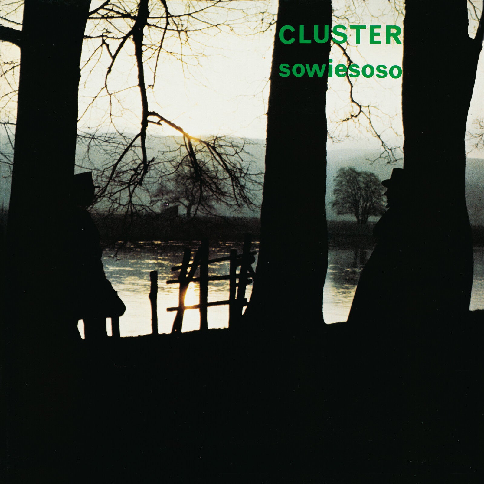 Cluster - Sowiesoso (50th Anniversary Vinyl)