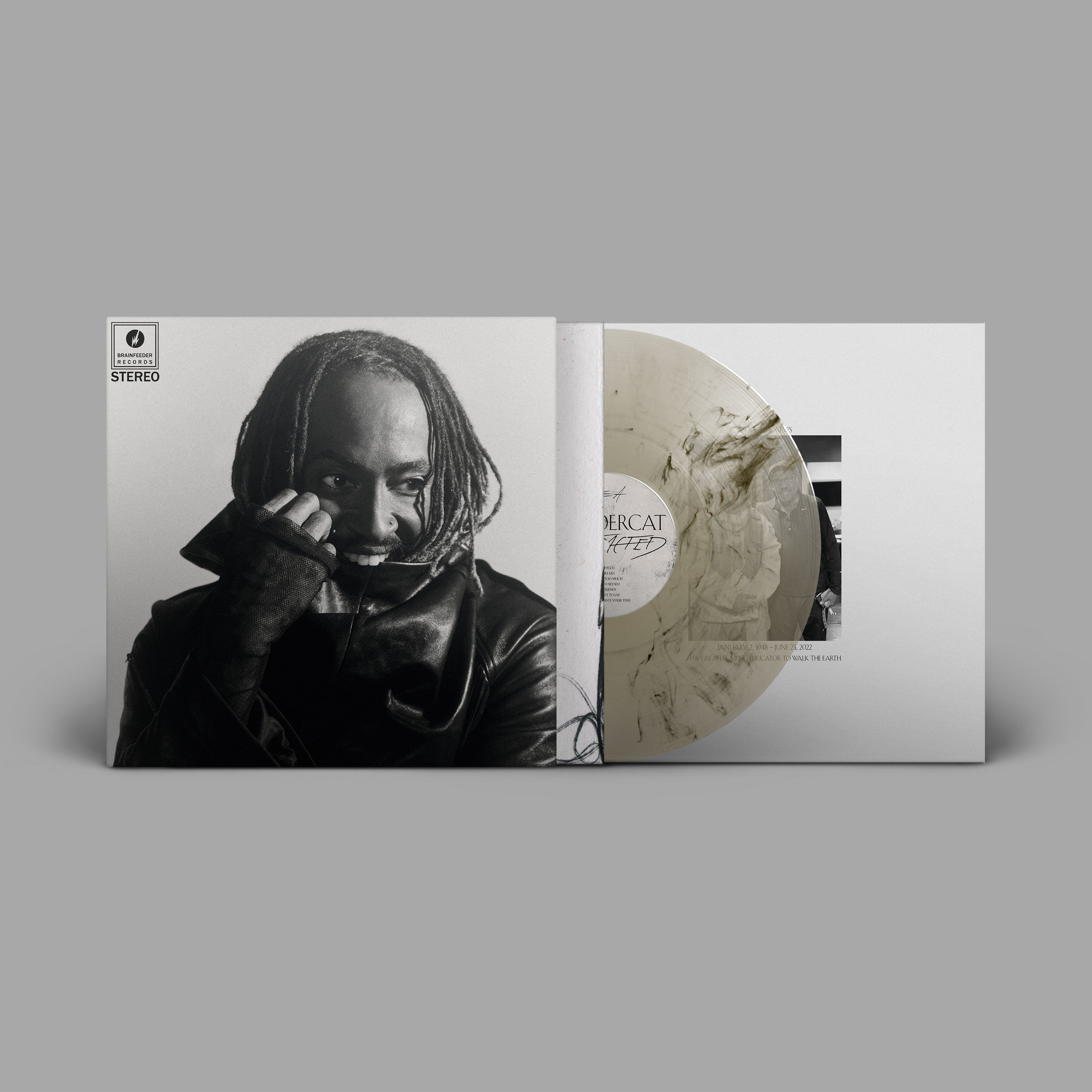 Thundercat – Distracted