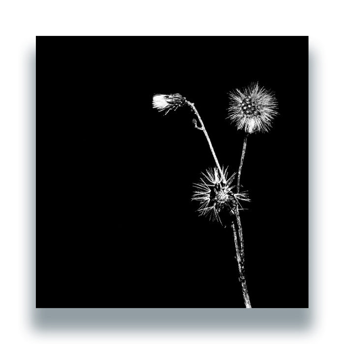 Jon Dasilva and Skyskrapa Feat. Donald Waugh – Sun Brings Joy (repress)