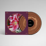 Richard Hawley – Coles Corner (20th Anniversary Zoetrope Vinyl)