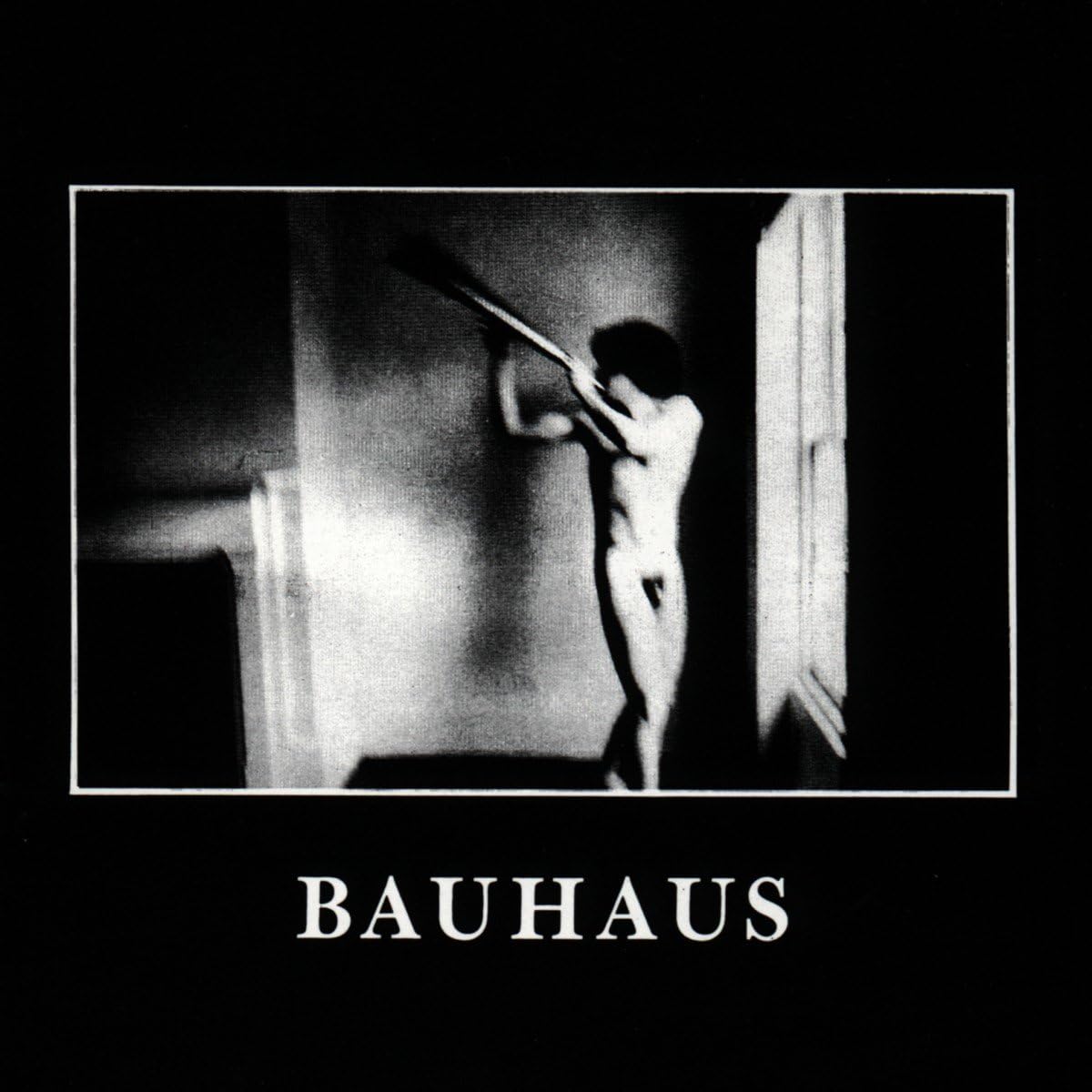 Bauhaus - In The Flat Field)