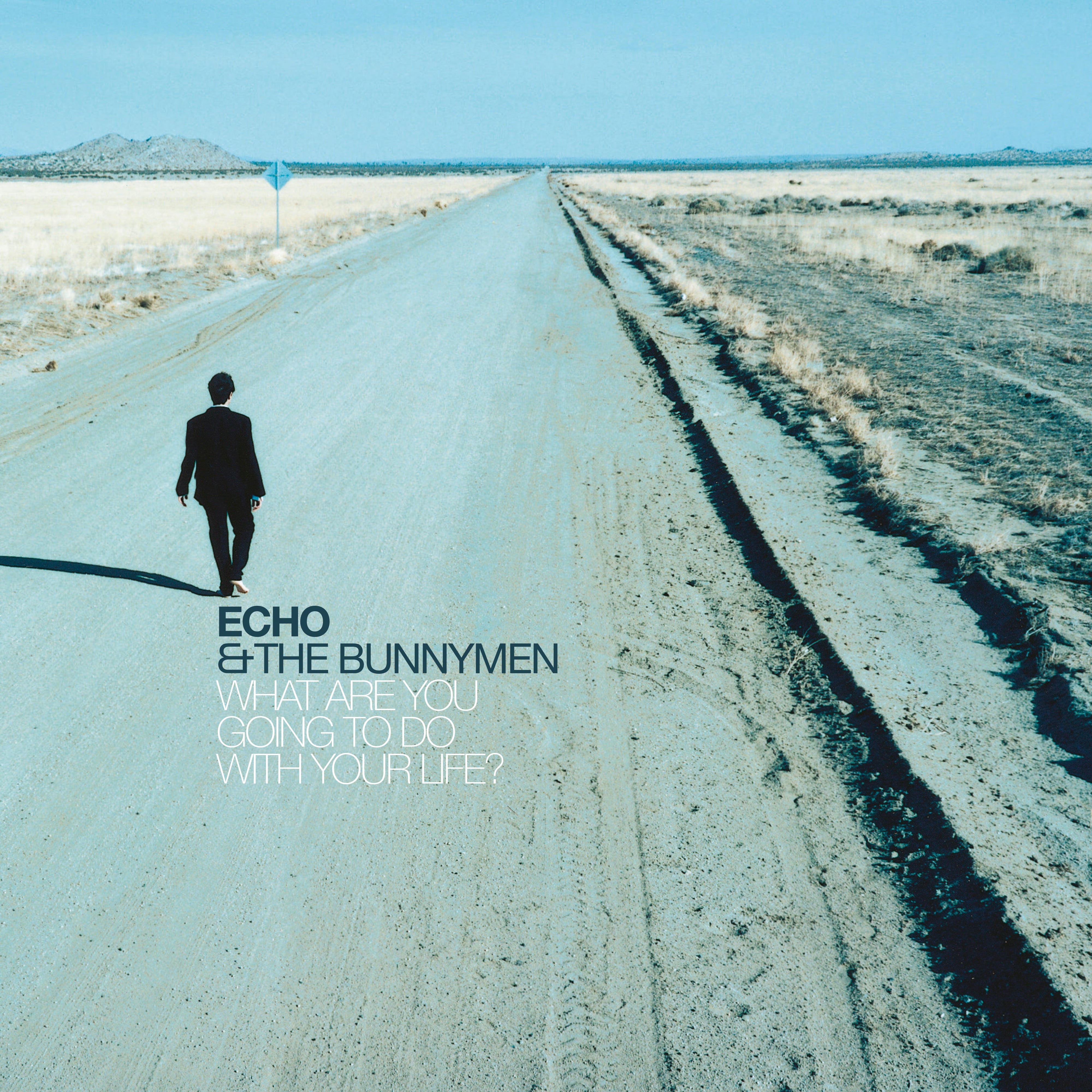 Echo & The Bunnymen - What Are You Going To Do With Your Life? (Transparent Vinyl)