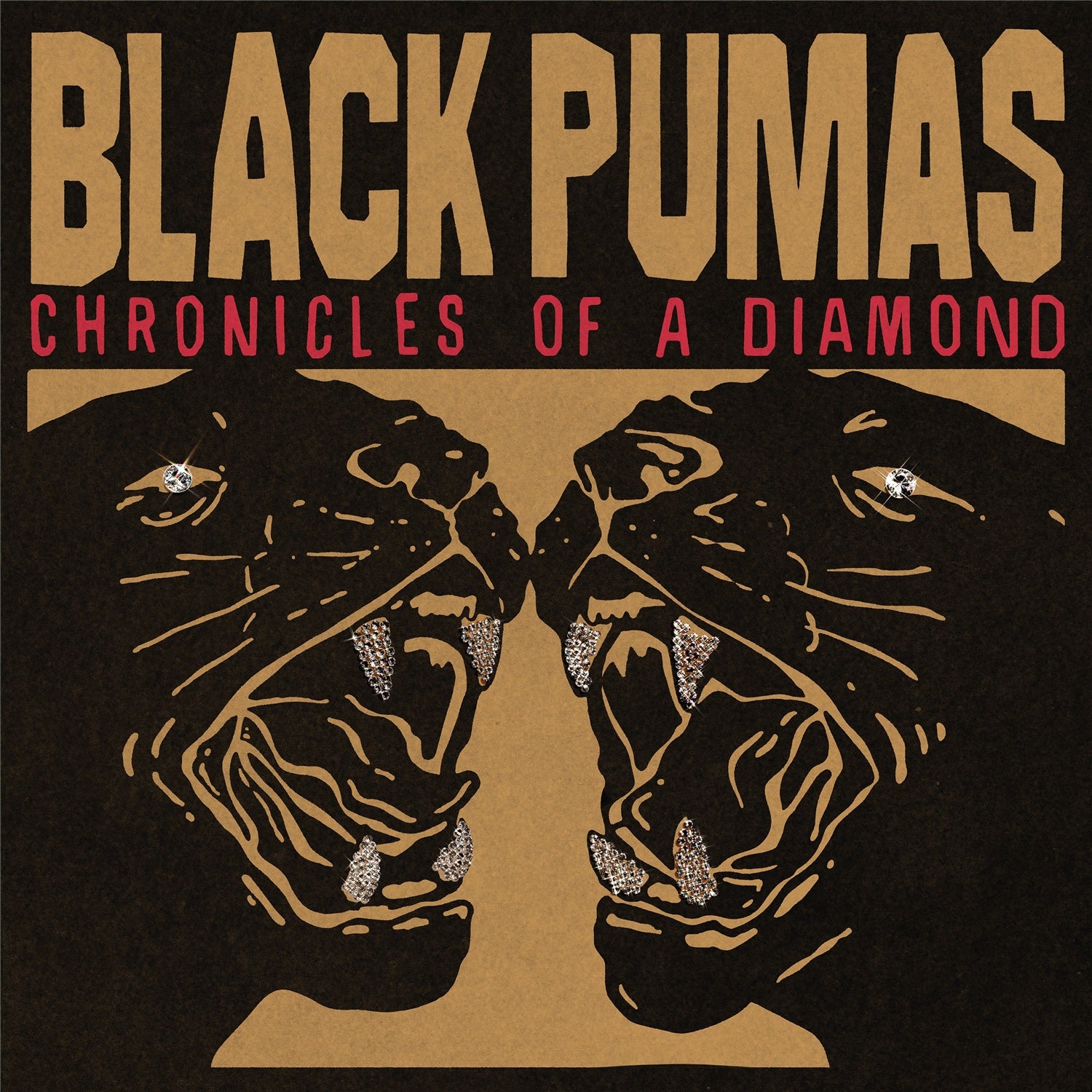Black Pumas - Chronicles of a Diamond (Standard Clear Vinyl