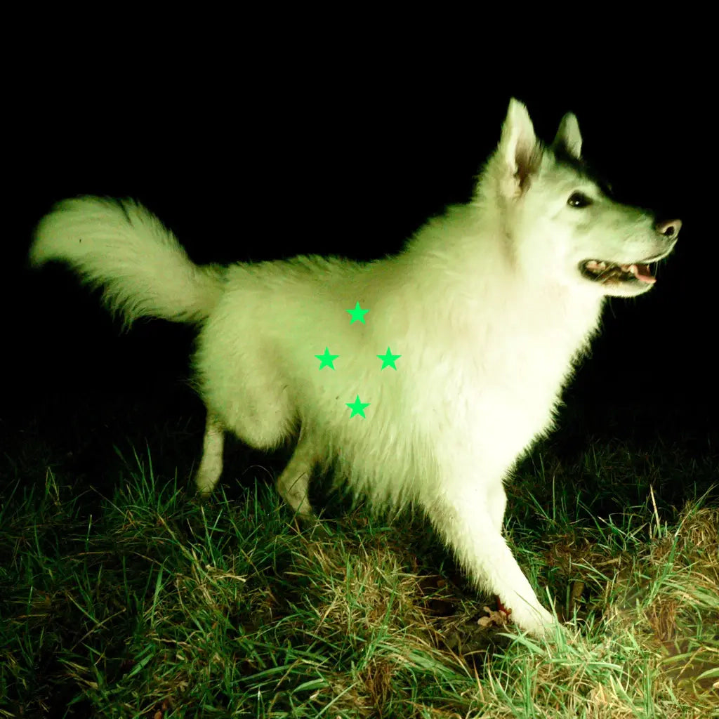 Real Farmer - Compare What’s There (Fluorescent Green Vinyl + Poster)