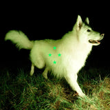 Real Farmer - Compare What’s There (Fluorescent Green Vinyl + Poster)