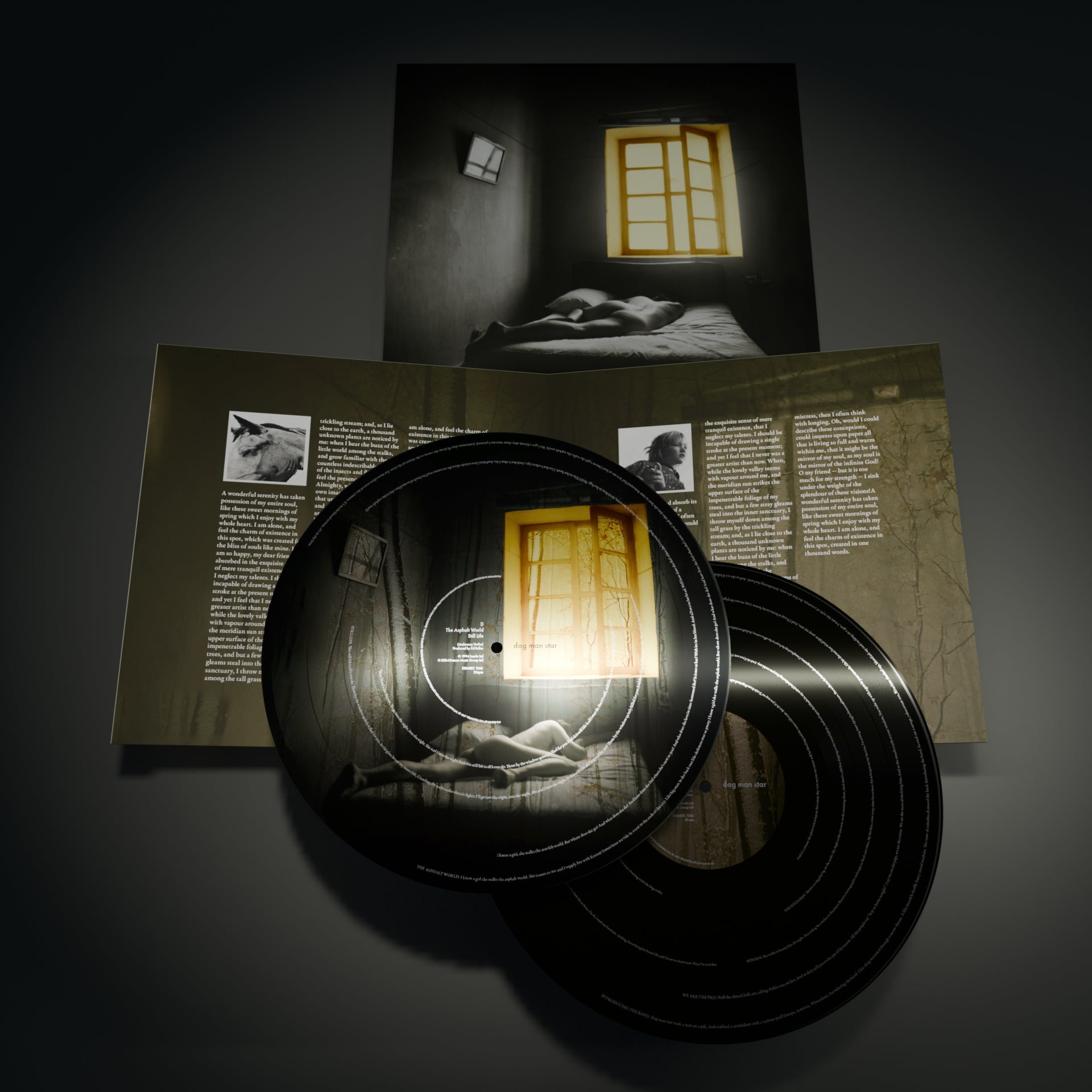 Suede - Dog Man Star (30th Anniversary Picture Disc)