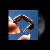 bdrmm - Microtonic (Black Vinyl)