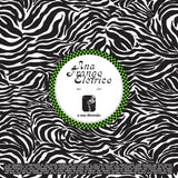 Ana Frango Eletrico – A Sua Diversao / Nao Tem Nada Nao