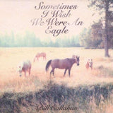 Bill Callahan – Sometimes I Wish We Were an Eagle