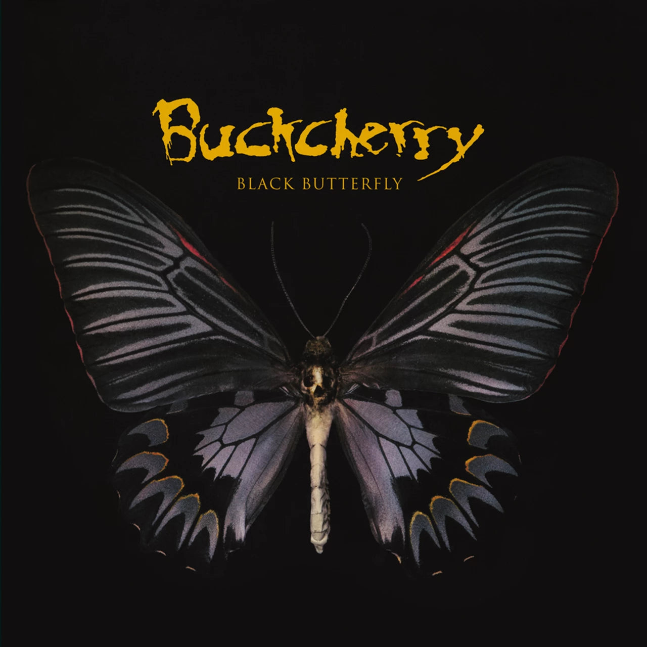 Buckcherry – Black Butterfly