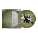 HAIM - Days Are Gone (Picture Disc)
