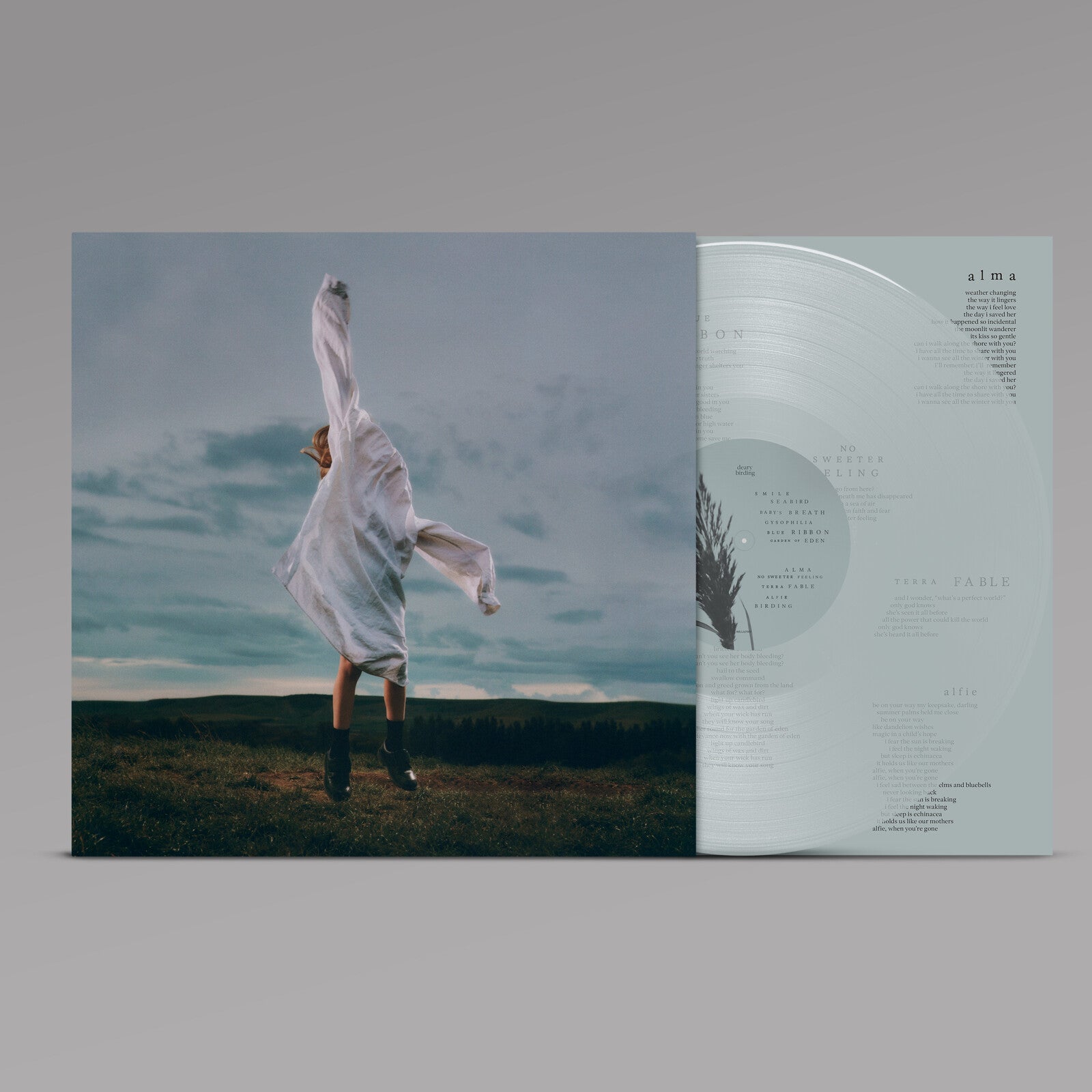 deary – Birding (Transparent Pale Blue Vinyl)