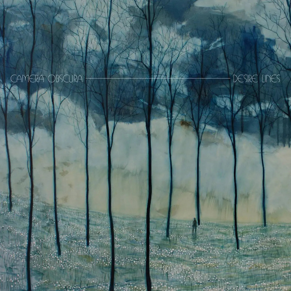 Camera Obscura - Desire Lines (Black Vinyl)