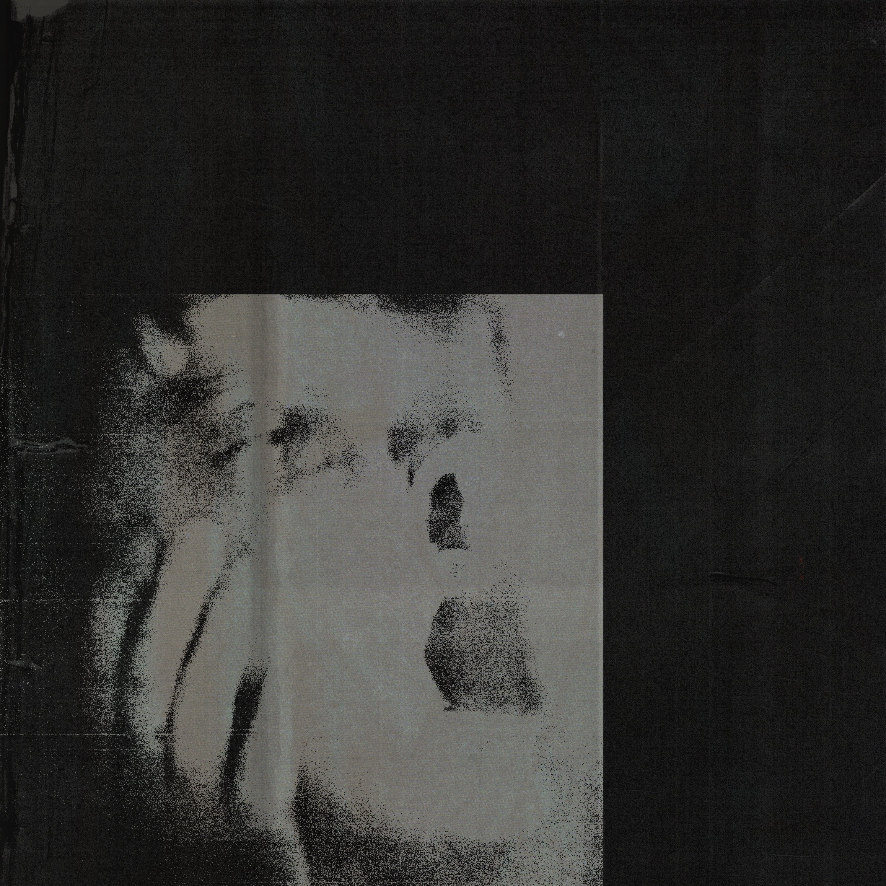 DITZ - Never Exhale (Black Vinyl)