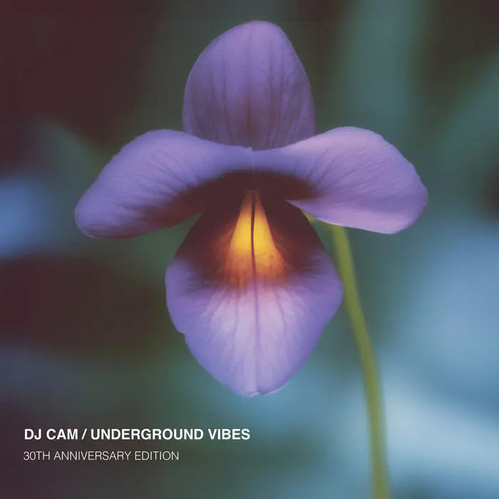 DJ Cam – Underground Vibes (30th Anniversary Edition Vinyl)