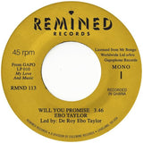Ebo Taylor – Will You Promise / Maye Omama (7" Vinyl)
