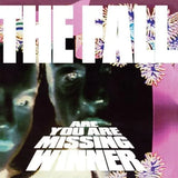 The Fall – Are You Are Missing Winner | (RSD 2026)