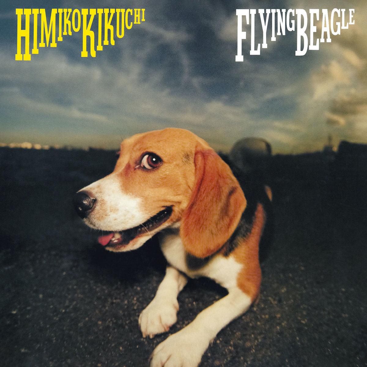 Himiko Kikuchi - Flying Beagle