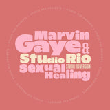 Marvin Gaye & Studio Rio – Sexual Healing