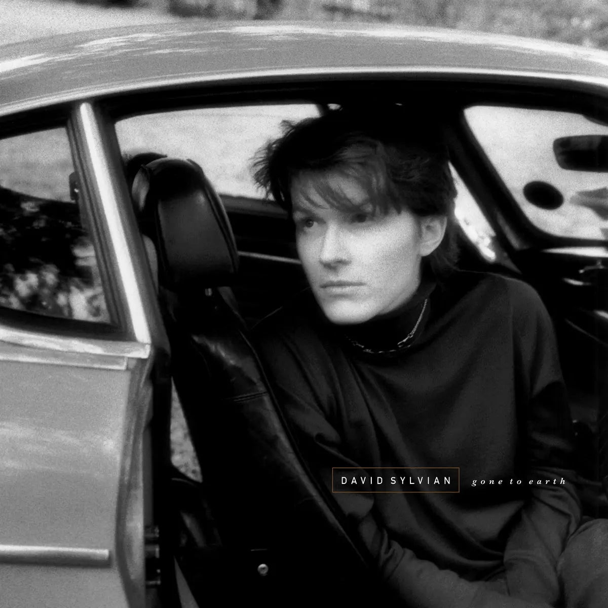 David Sylvian – Gone To Earth (Black Vinyl)