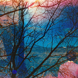Idlewild – Idlewild