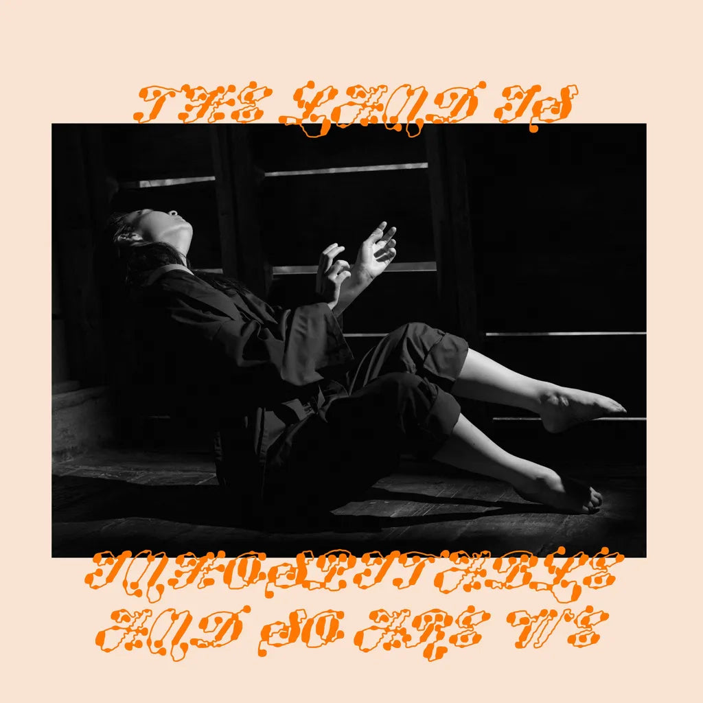 Mitski - The Land is Inhospitable and So Are We (Black Vinyl)