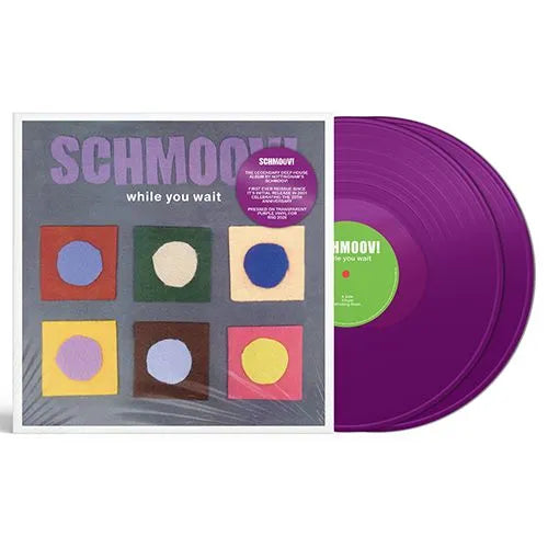 Schmoov! – While You Wait (2LP Purple Vinyl) | (RSD 2026)