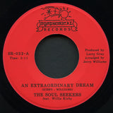 The Soul Seekers - An Extraordinary Dream