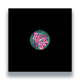 Triple Five Sol – Sounds From The Pound Volume 1