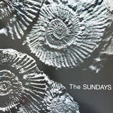 The Sundays – Reading, Writing & Arithmetic (Black Vinyl)
