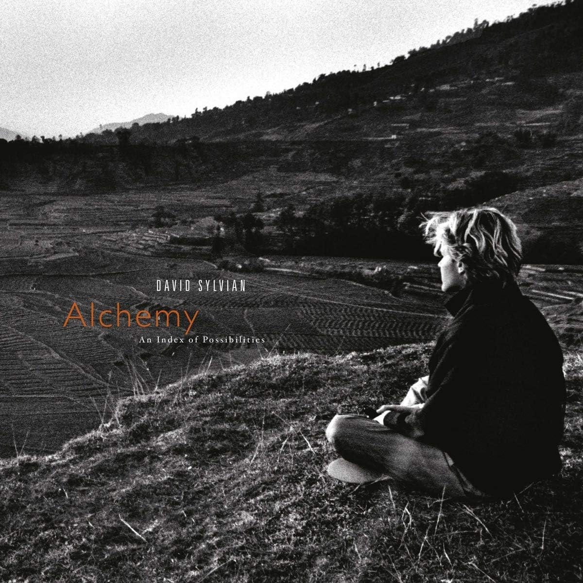 David Sylvian & Jon Hassell – Alchemy: An Index Of Possibilities (Black Vinyl)