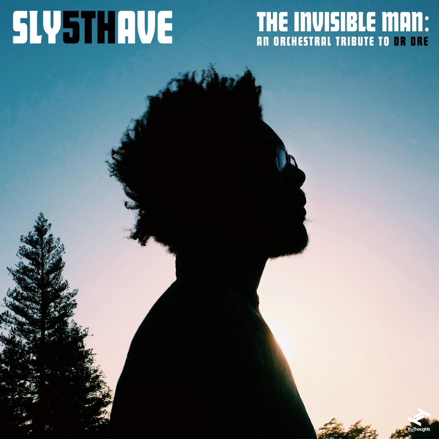 Sly5thAve - The Invisible Man: An Orchestral Tribute to Dr. Dre