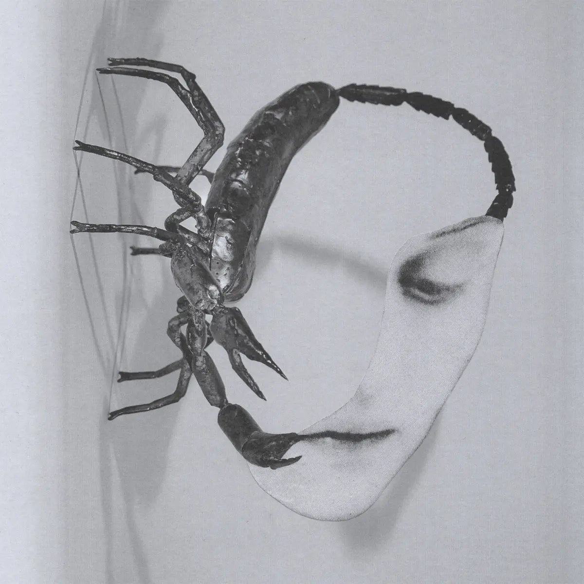 Tortoise – Touch (LP)