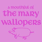 The Mary Wallopers – A Mouthful of Mary Wallopers | (RSD 2026)