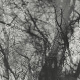 Grouper – Way Their Crept