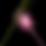 Various Artists – Wicked For Good: The Soundtrack (Picture Disc 2LP, Alternate Cover) | RSD Black Friday 2025