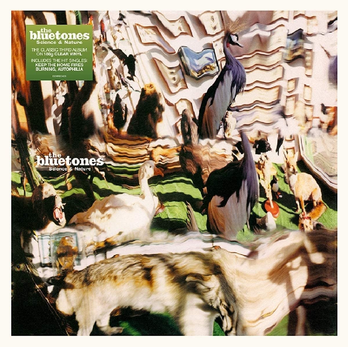 Bluetones - Science And Nature