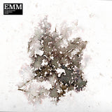 Sam McLoughlin & David Chatton Barker - Environmental Meditation Music (EMM)
