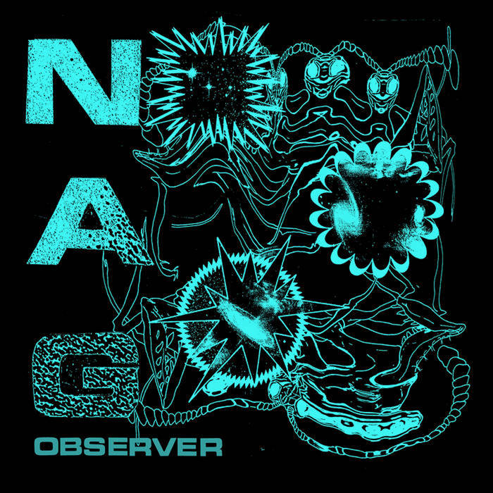 Nag - Observer