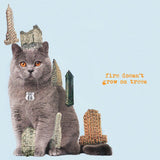 Brian Jonestown Massacre  - Fire Doesn't Grow On Trees